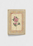 Mughal Rose