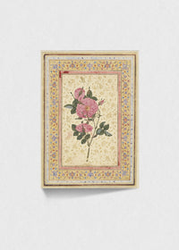 Mughal Rose
